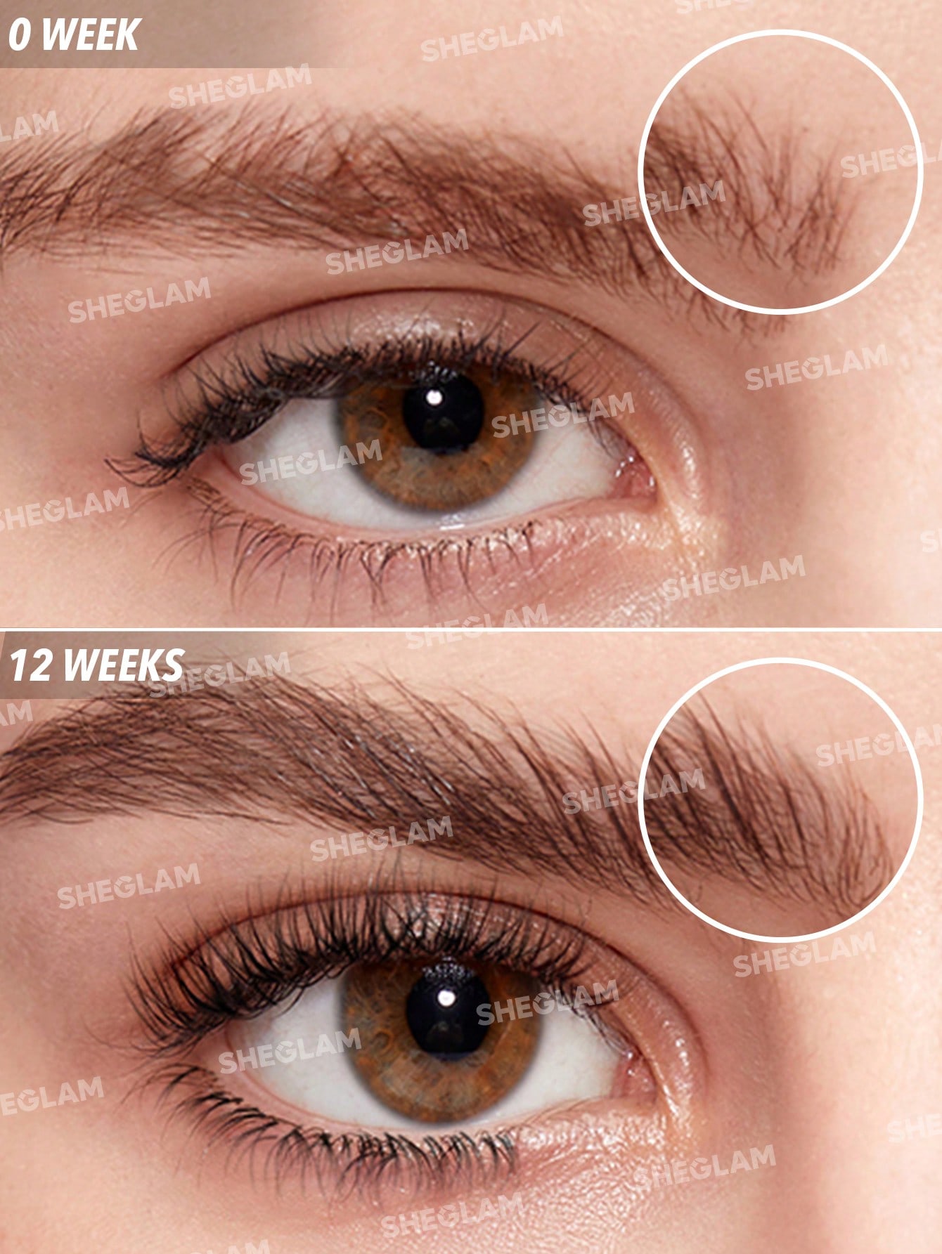 1706518012e66b35087c3e5a26ebcc5ddbb0eb7e7f